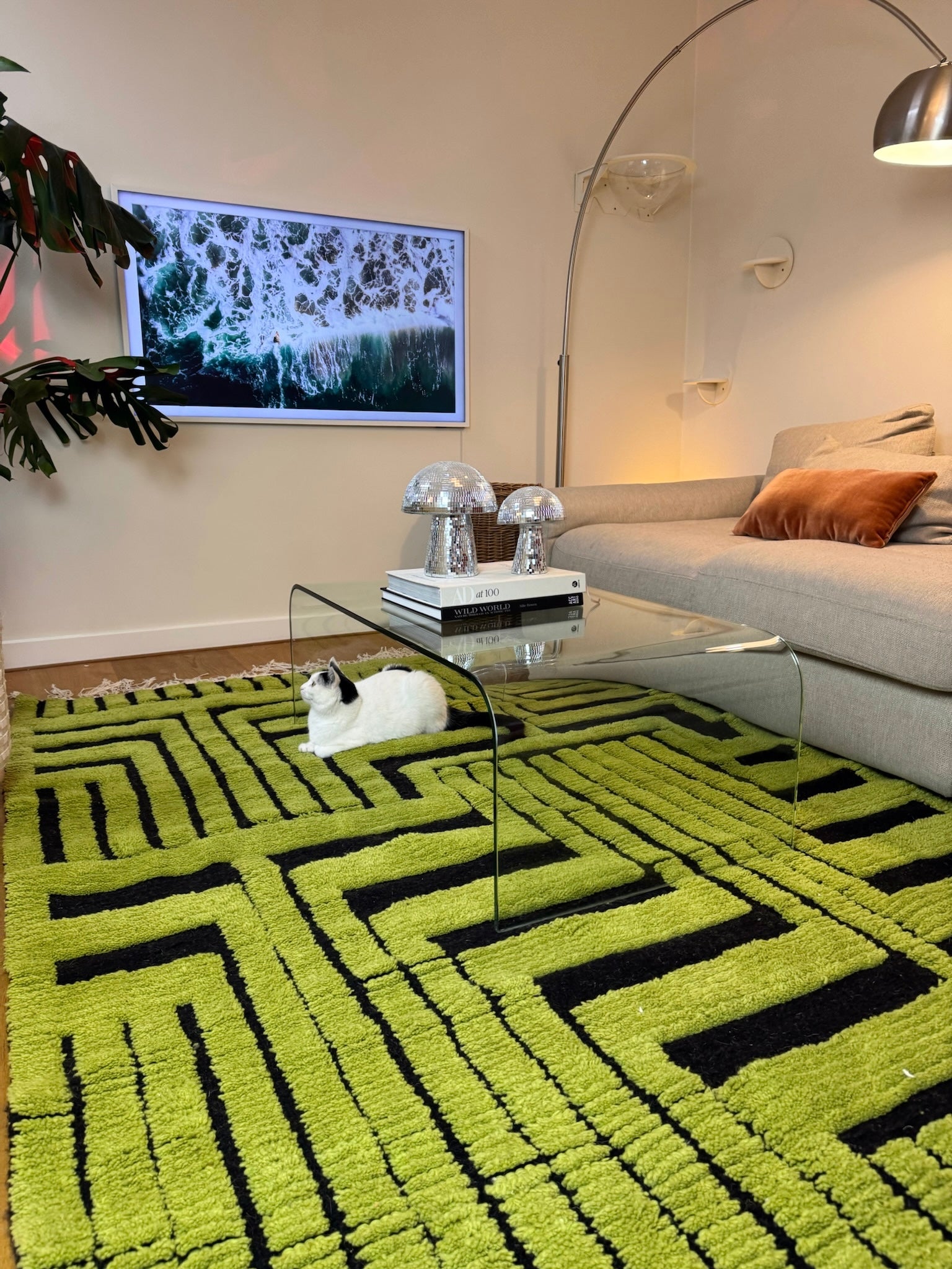 Green and black geometric rug styled in a bright living room setting