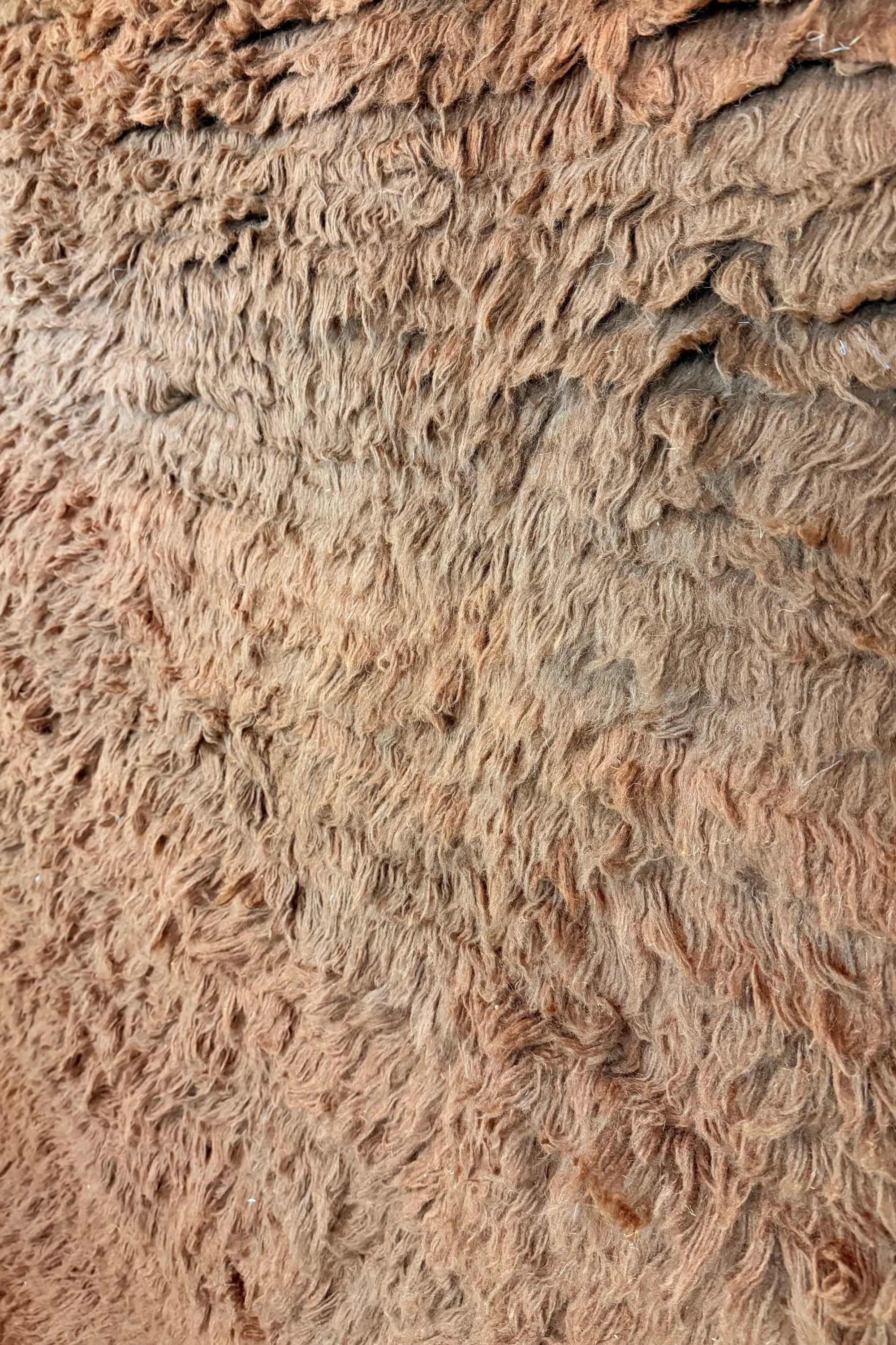 Macro close-up of the chocolate brown shaggy wool pile on the Faiza Berber rug, showing the natural texture and hand-knotted density, handmade in Tunisia.